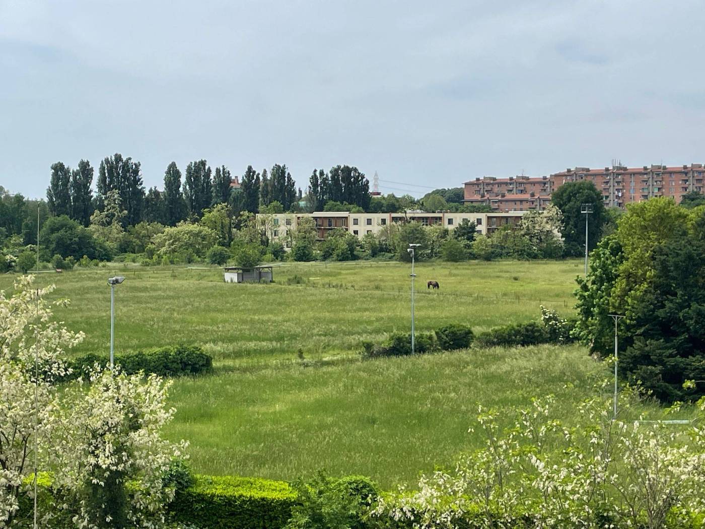 Vista Vista