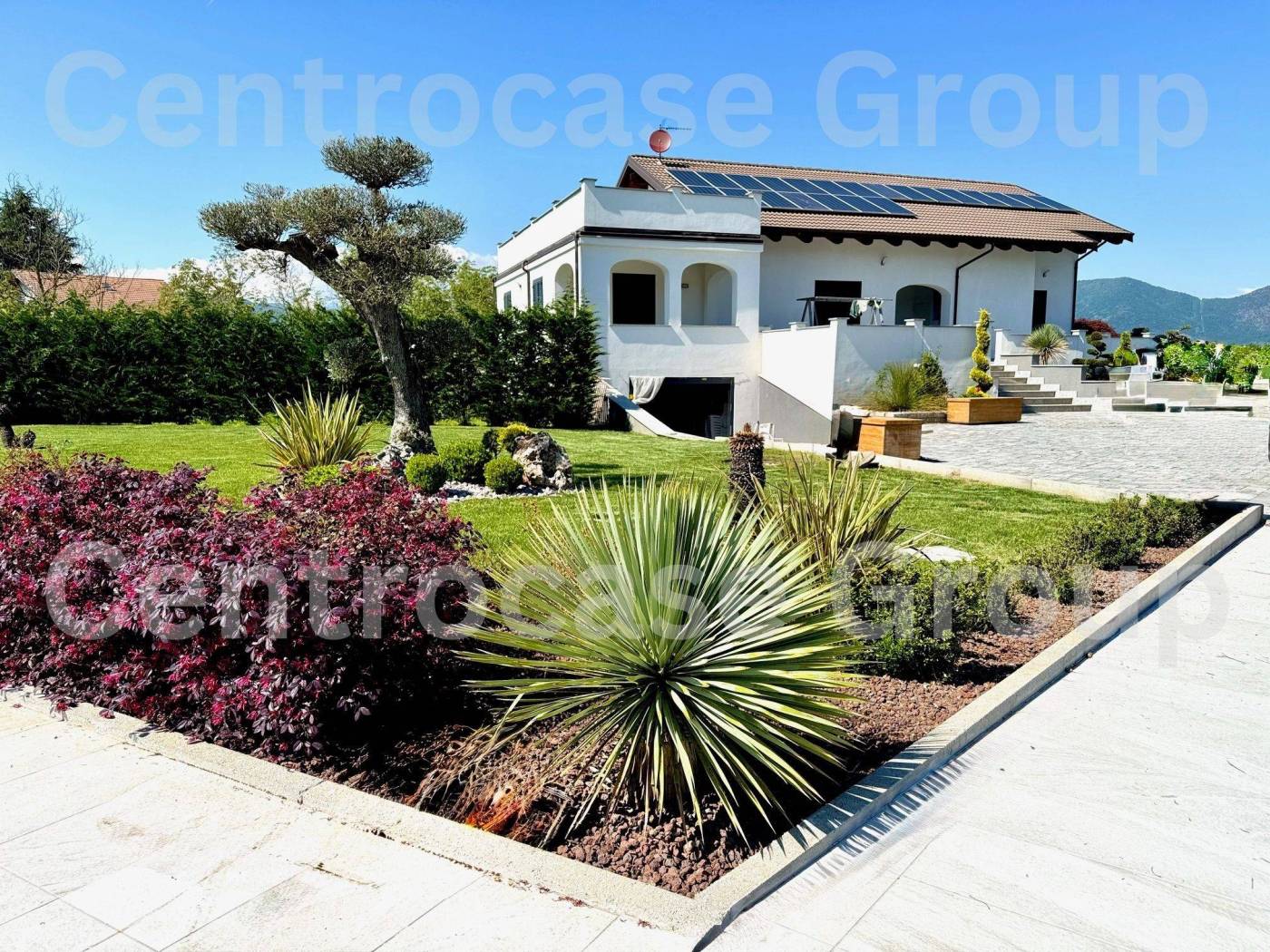 Giardino