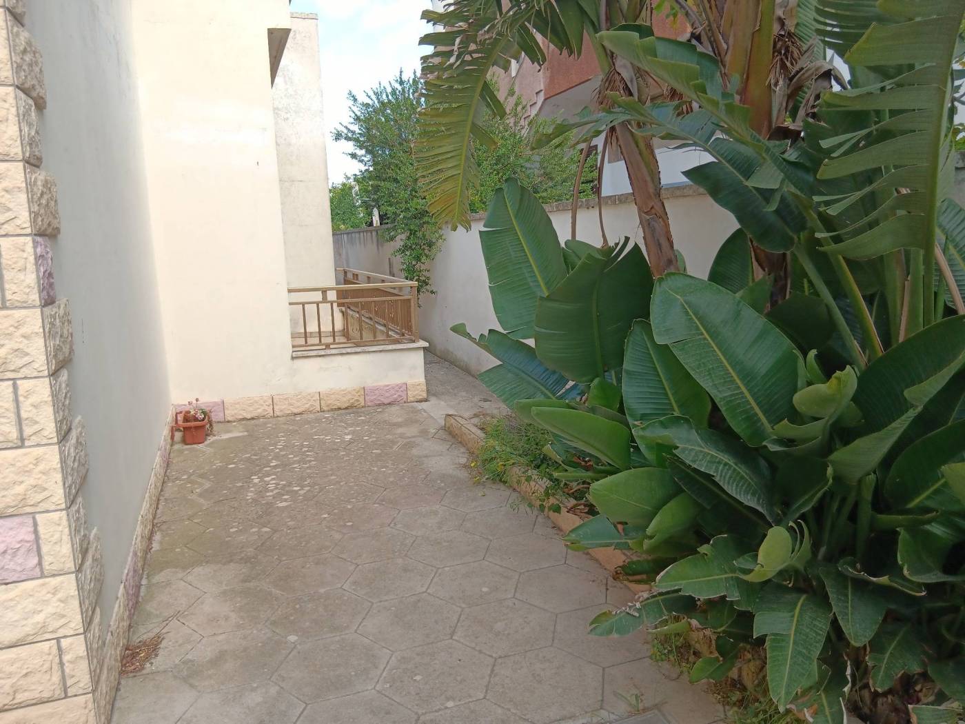 Giardino