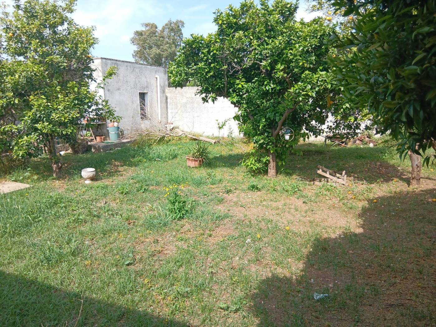 Terreno