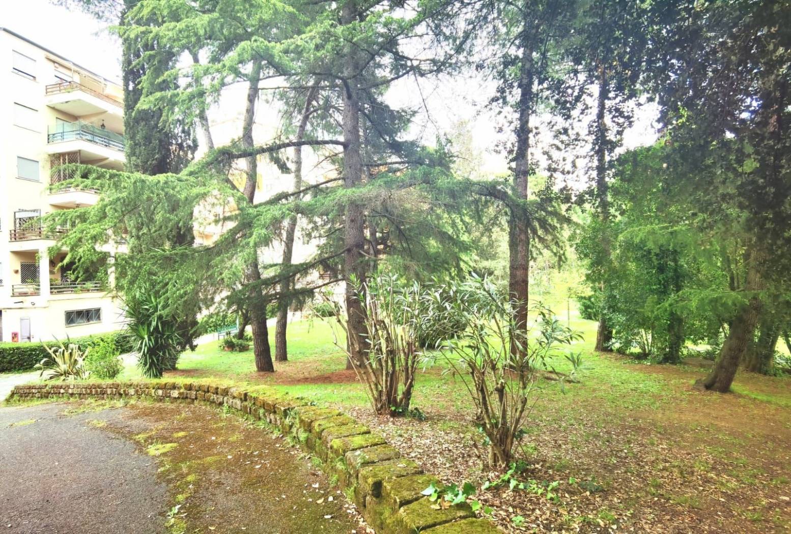 Giardino