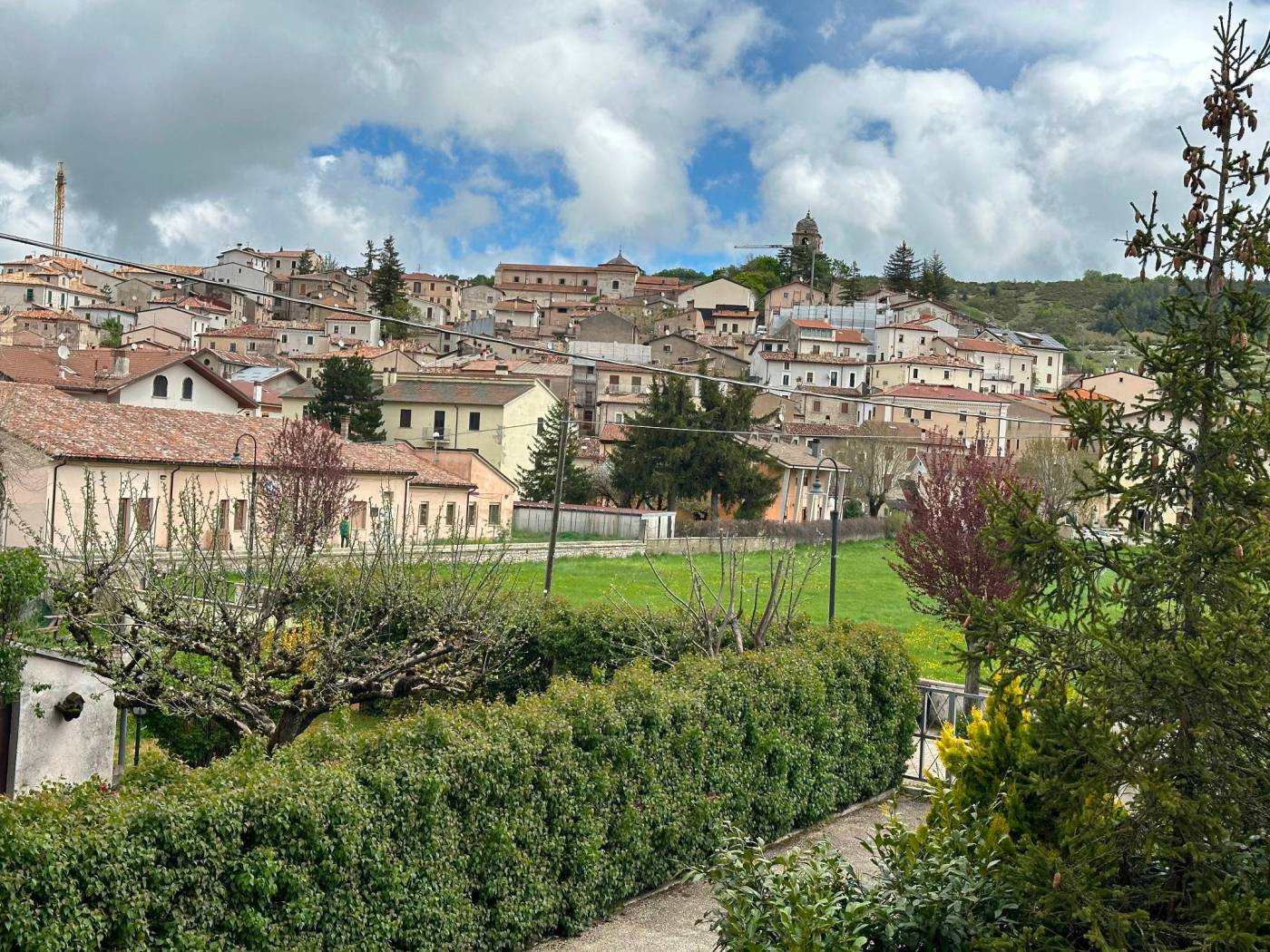 Vista