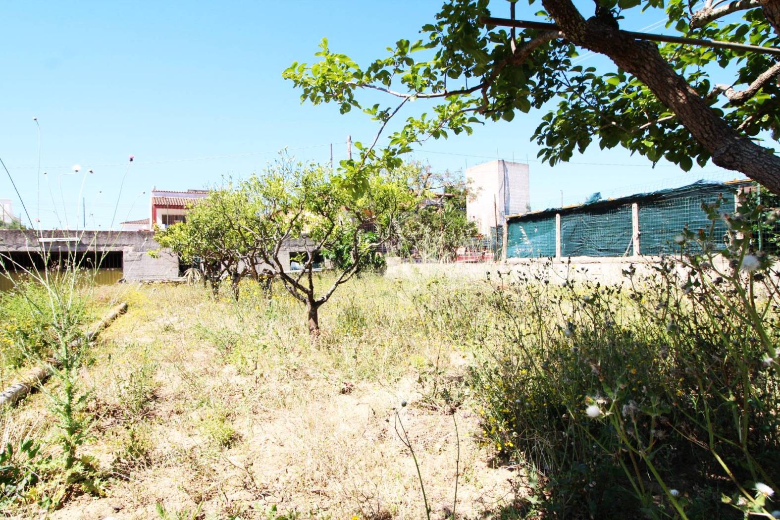 Terreno Terreno