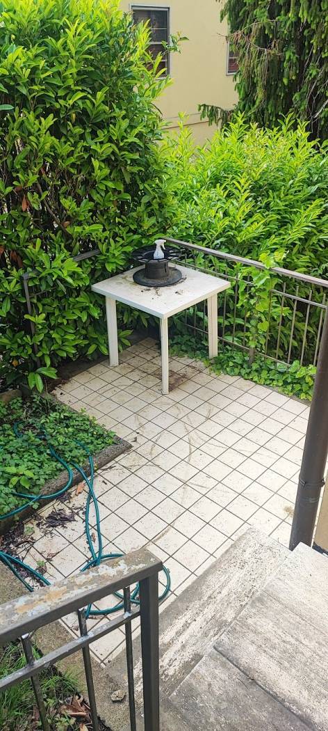 Giardino