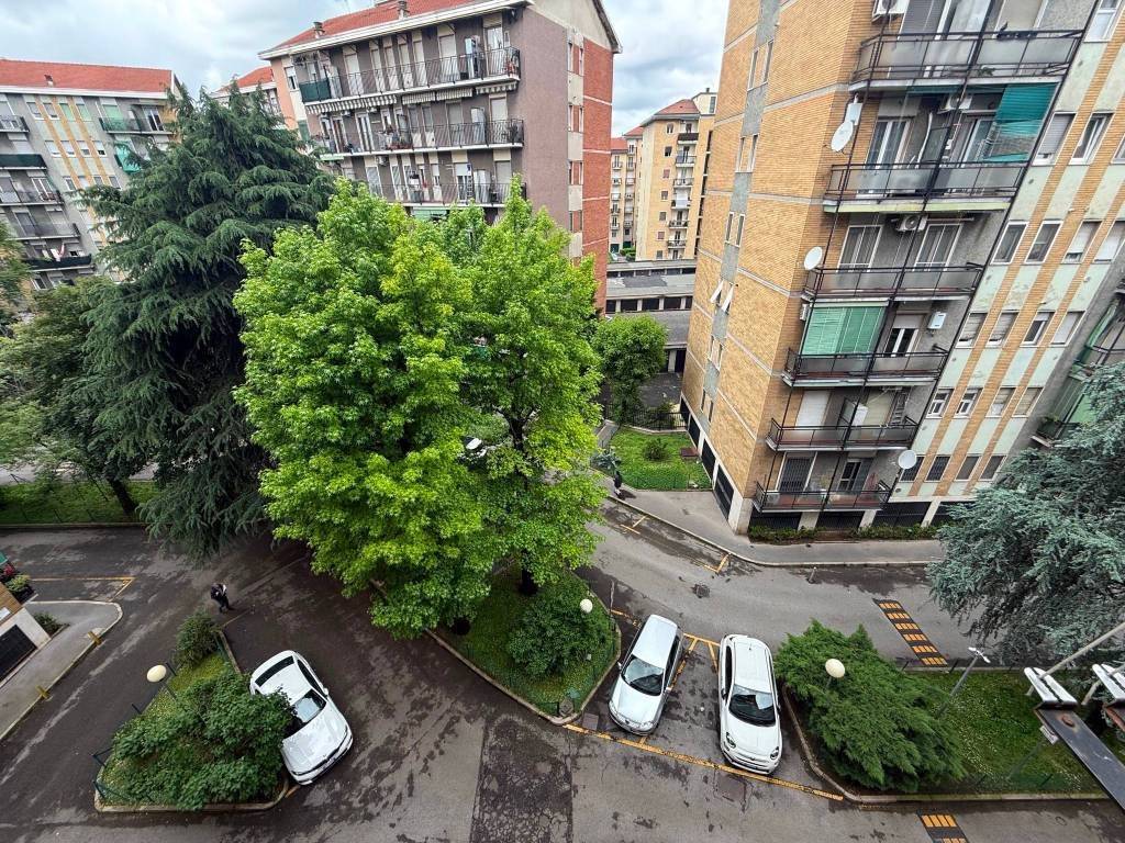 Vista