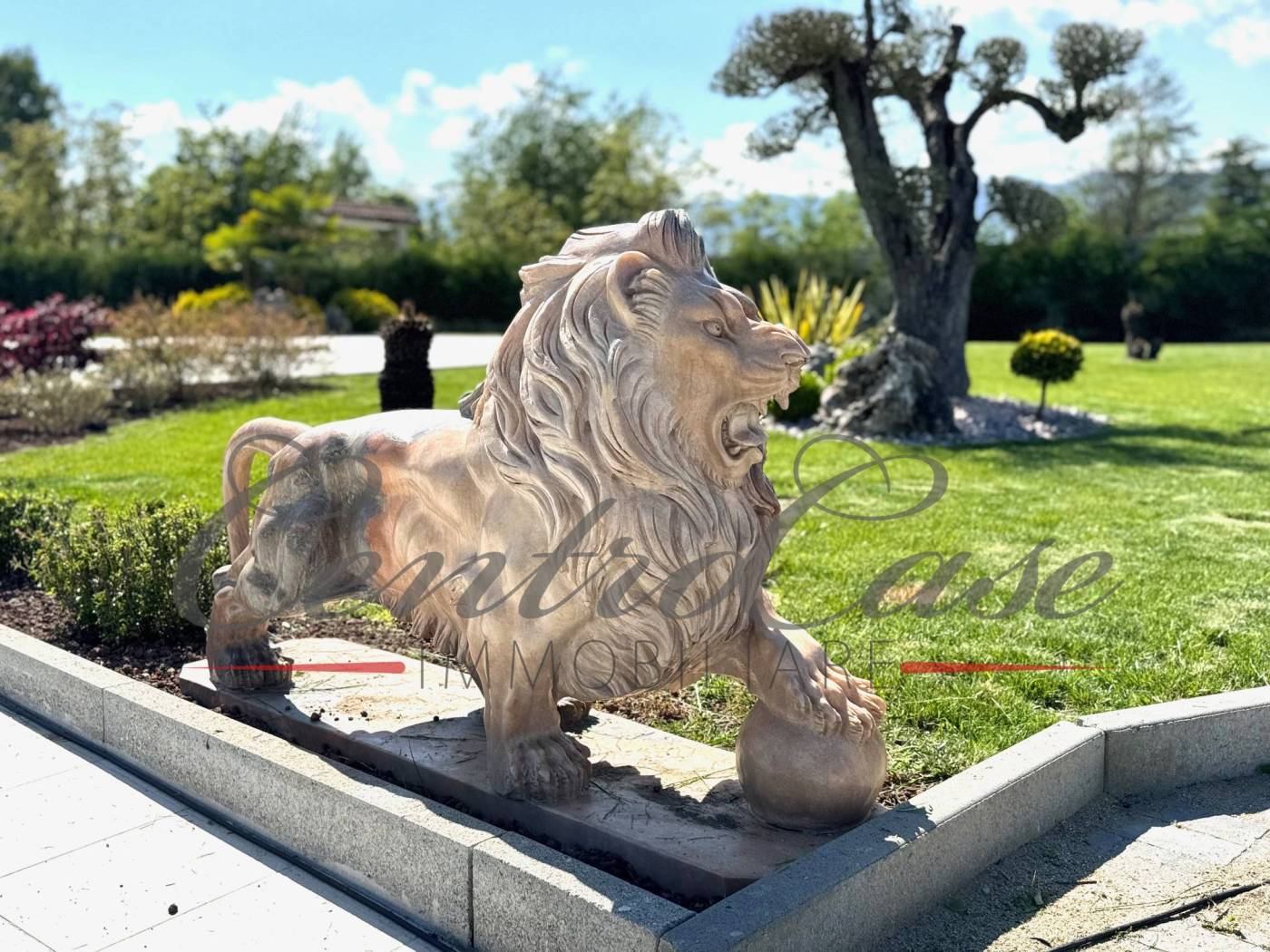 Giardino