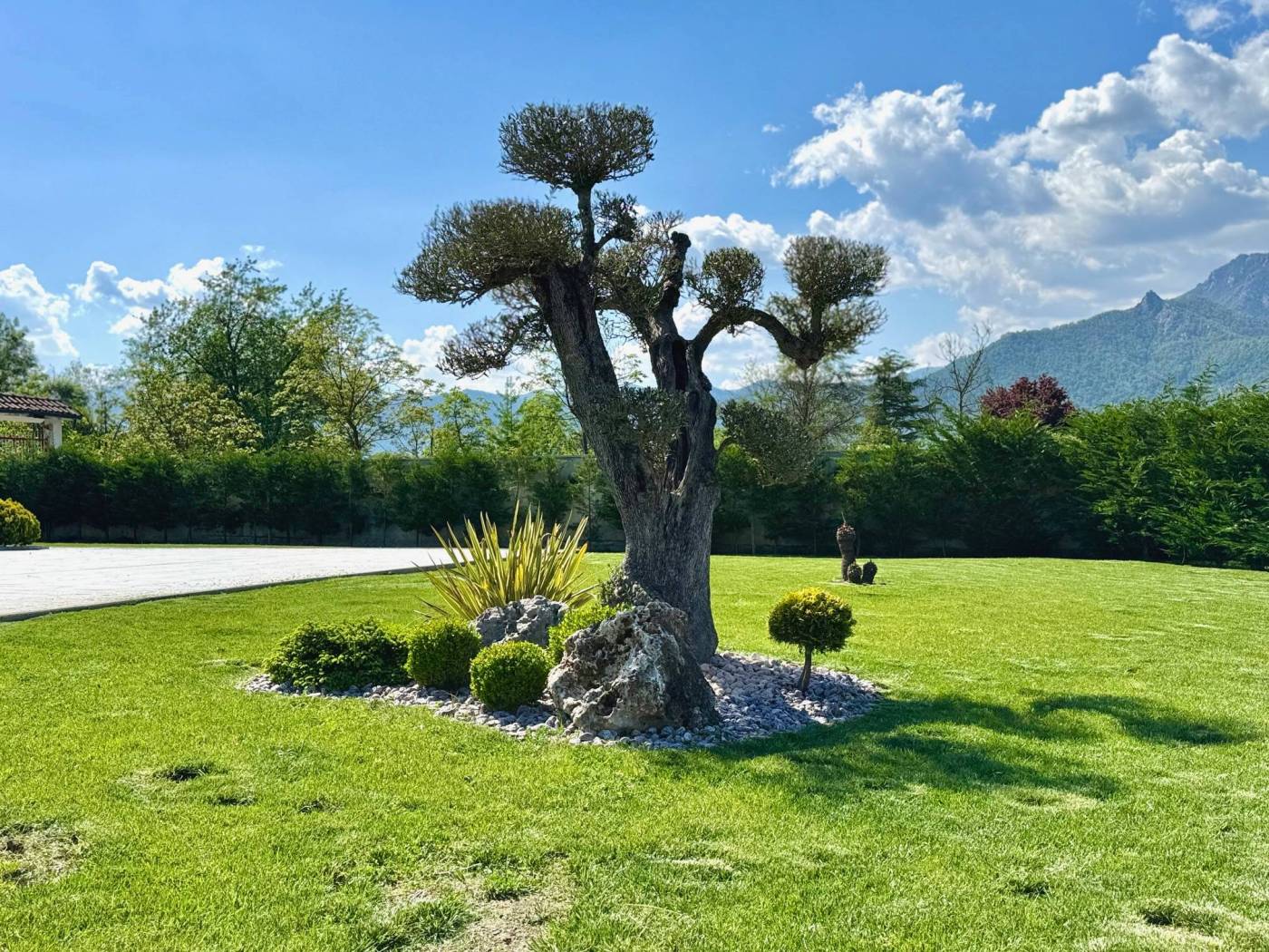 Giardino