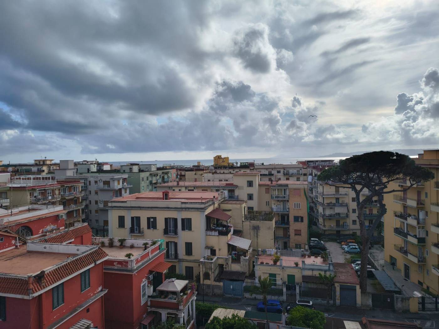 Vista