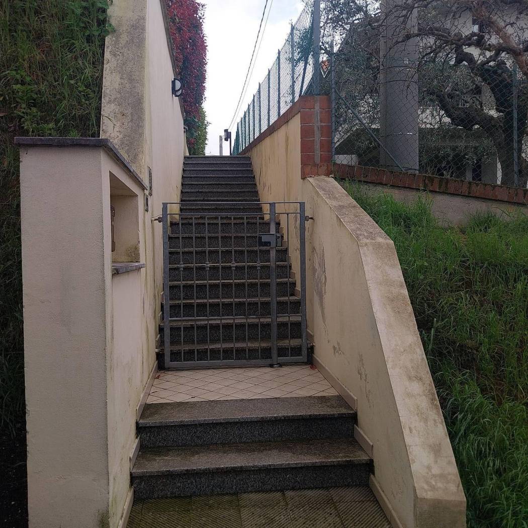 Giardino