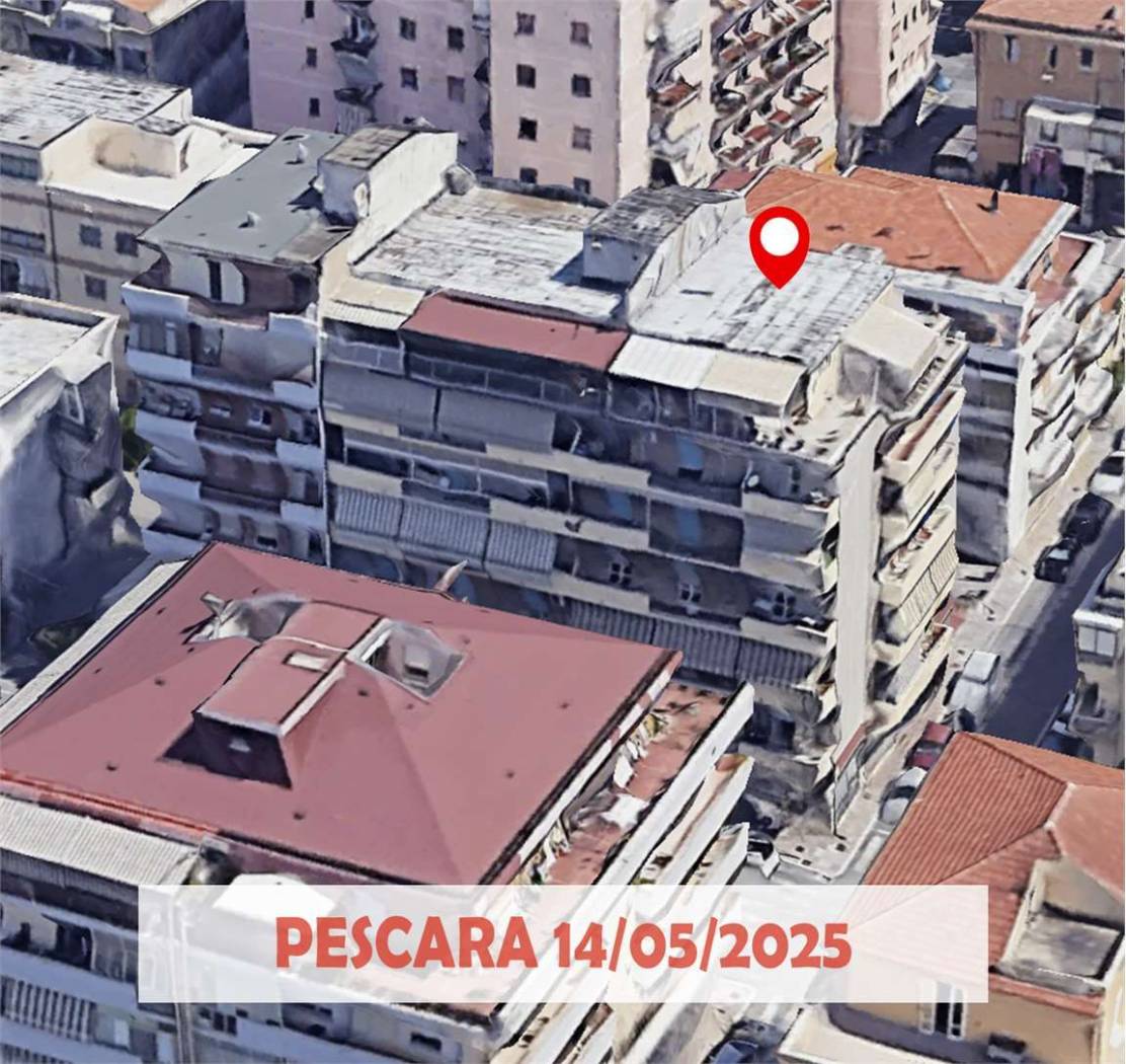 Vista
