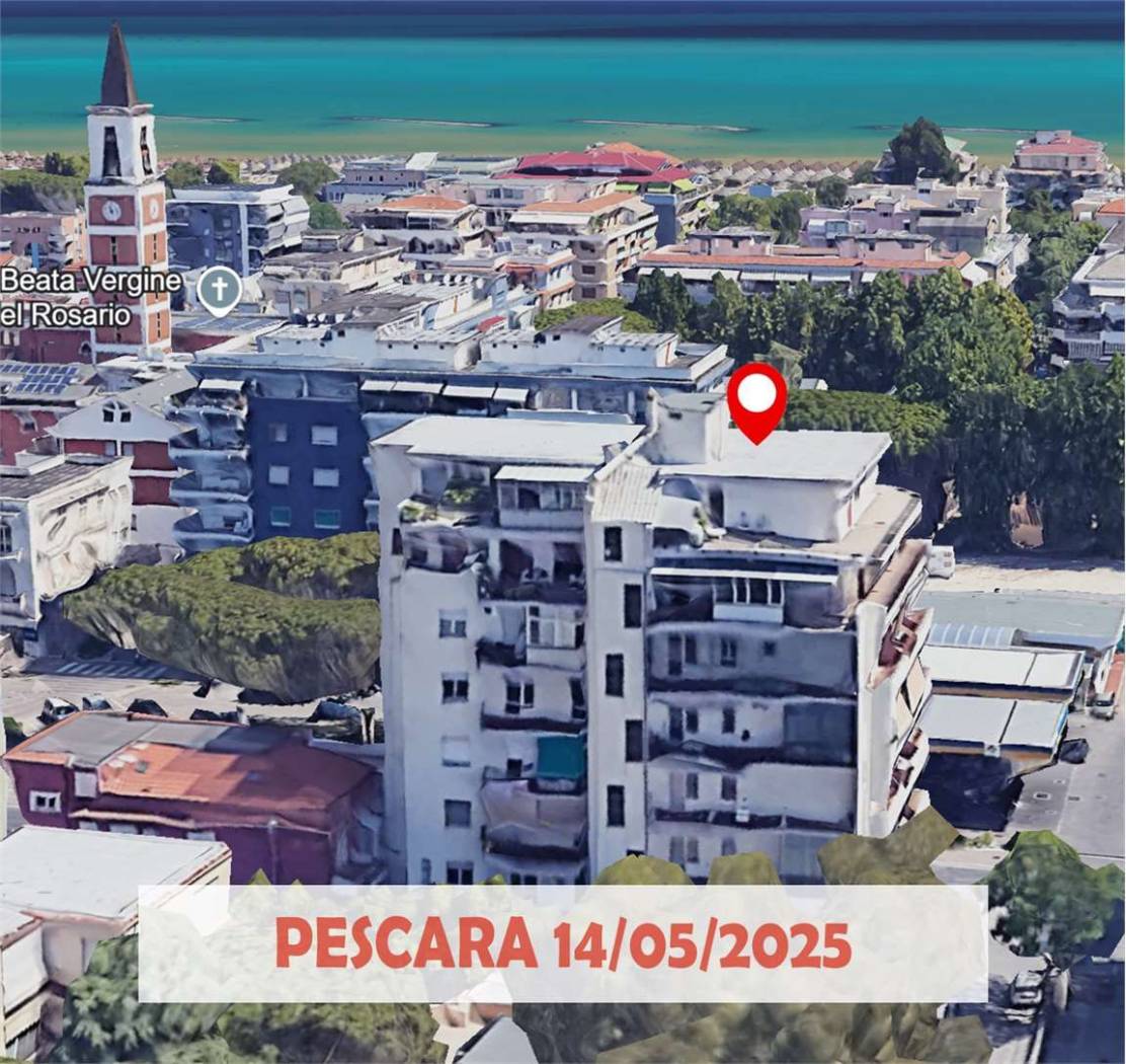 Vista