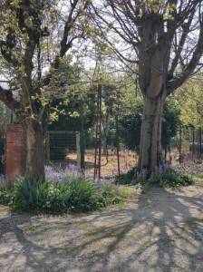 Giardino