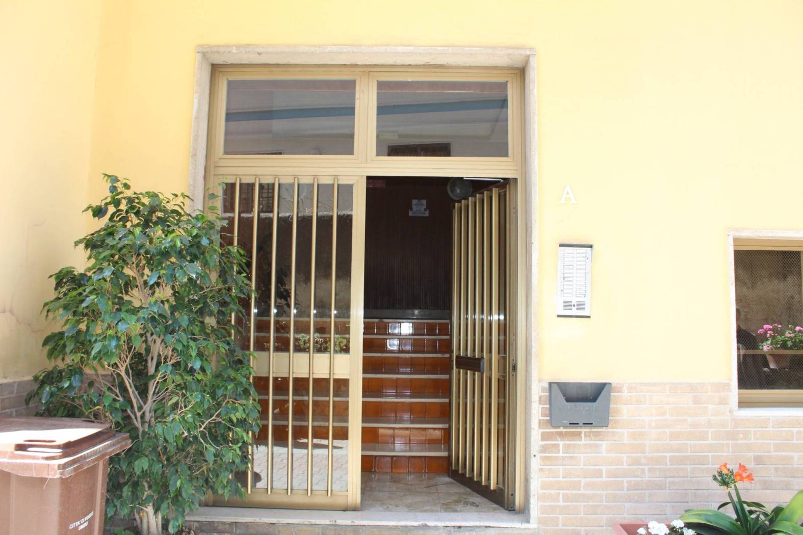 Ingresso