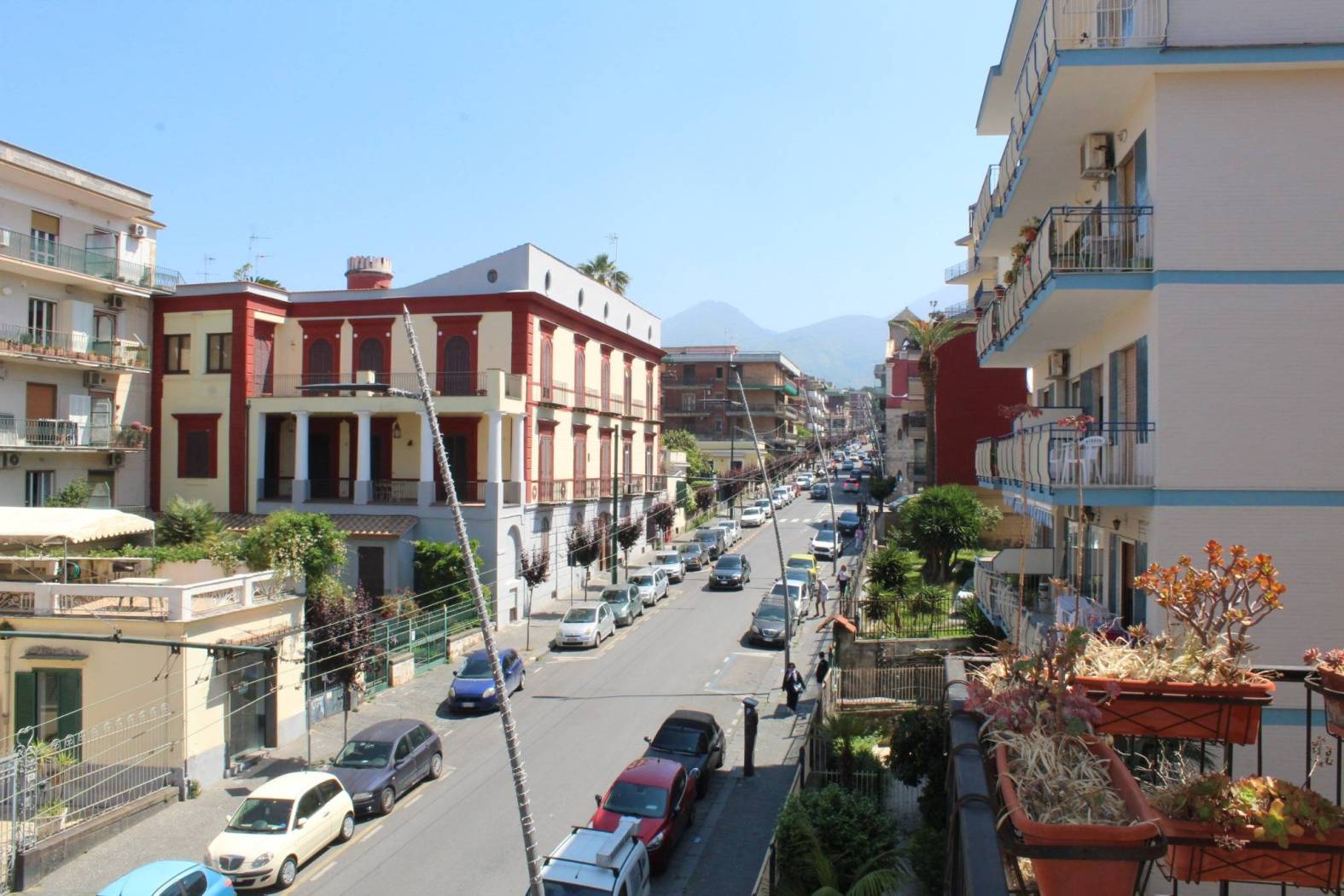Vista