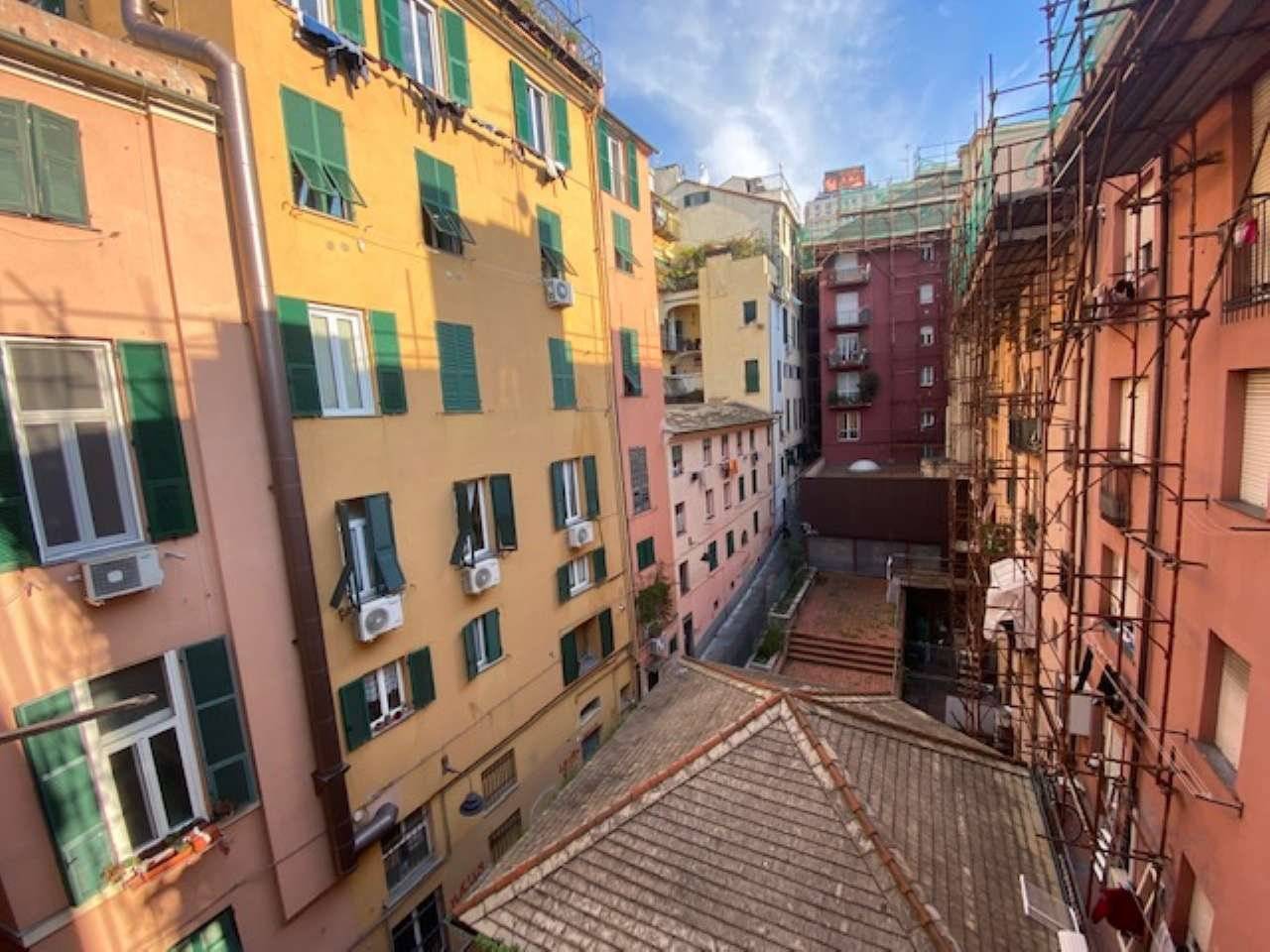 Vista