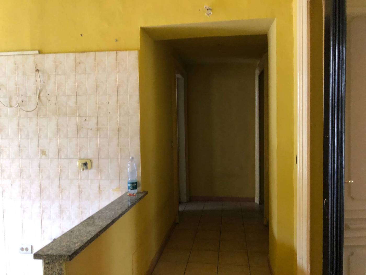 Ingresso