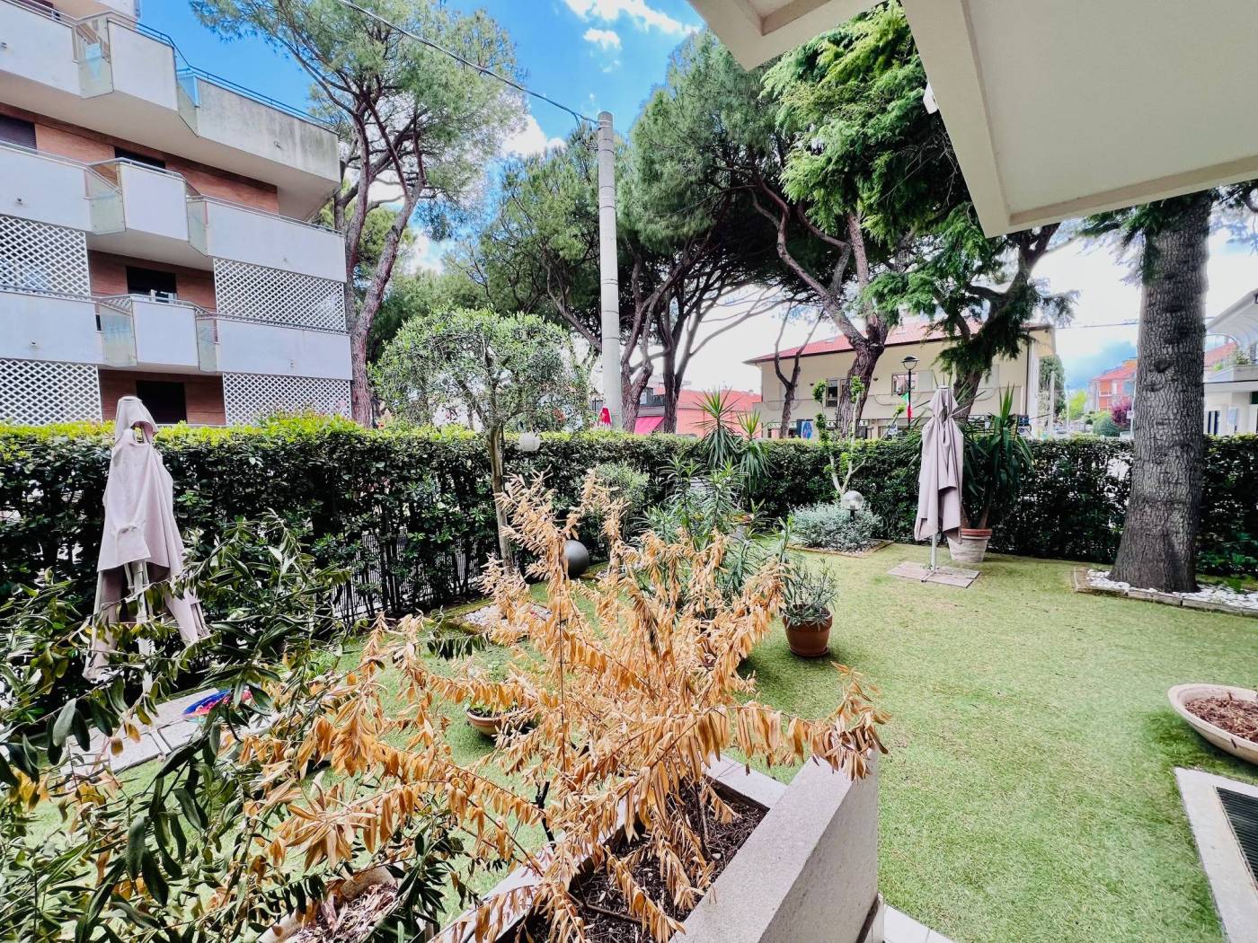 Giardino