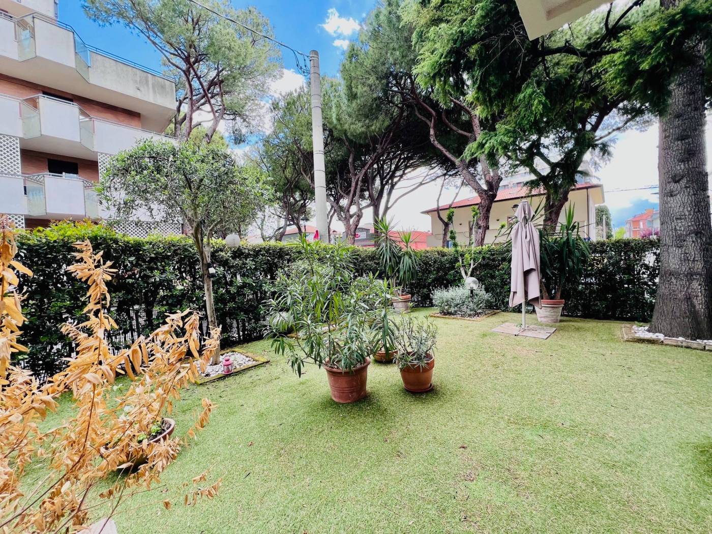 Giardino