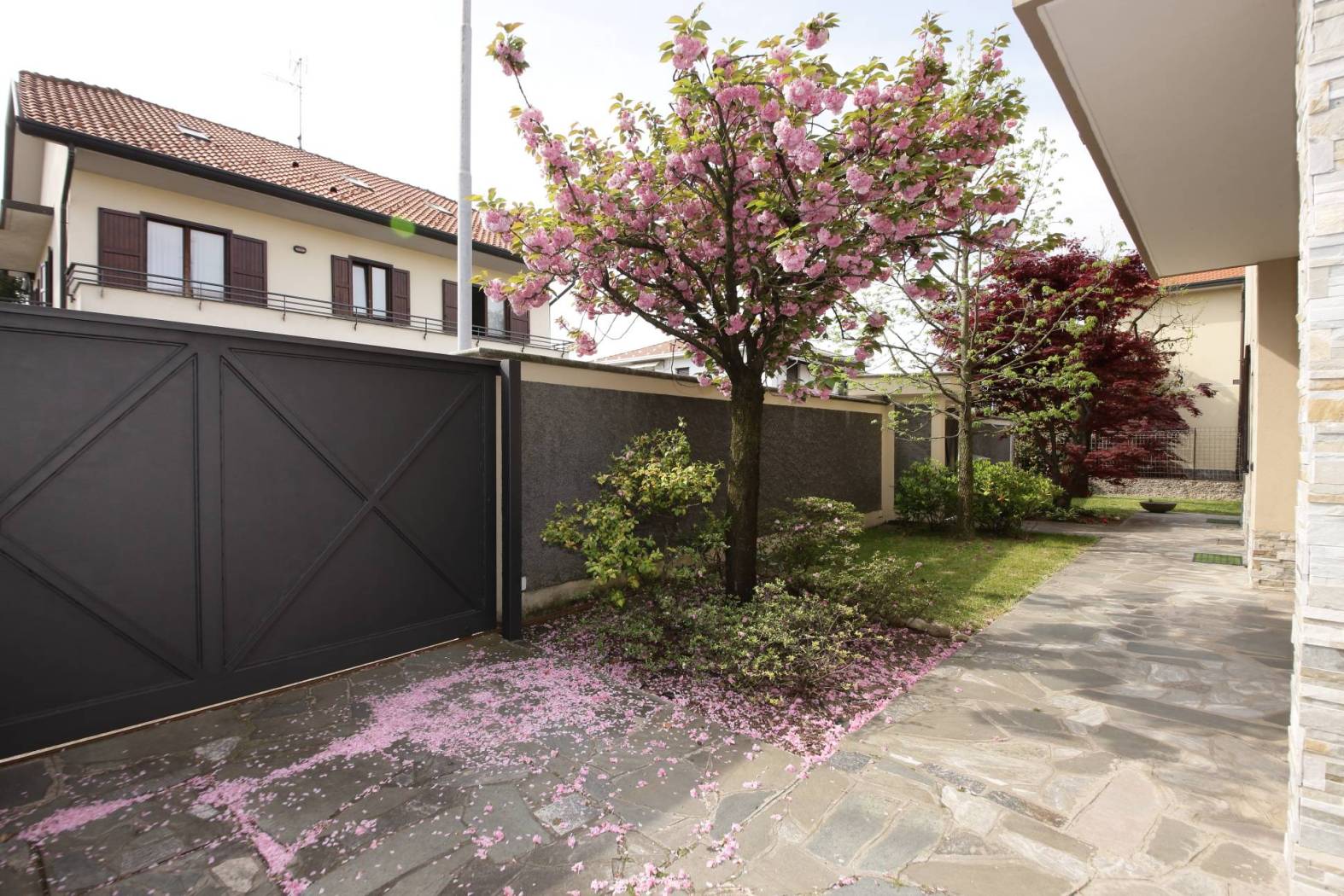 Giardino