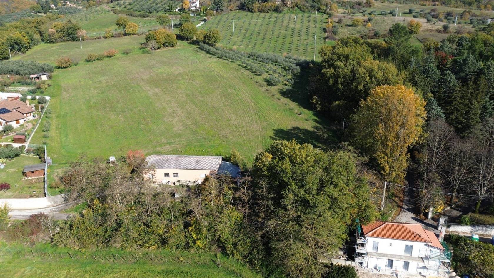 Vista