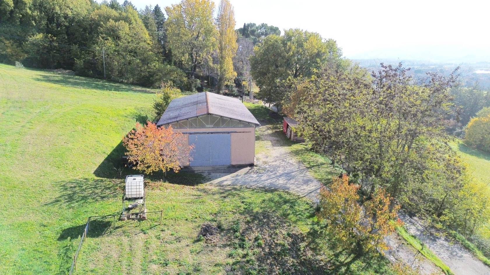 Vista
