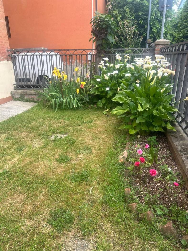 Giardino