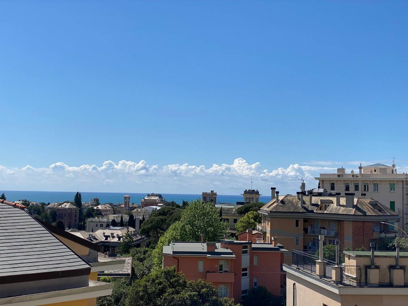Vista