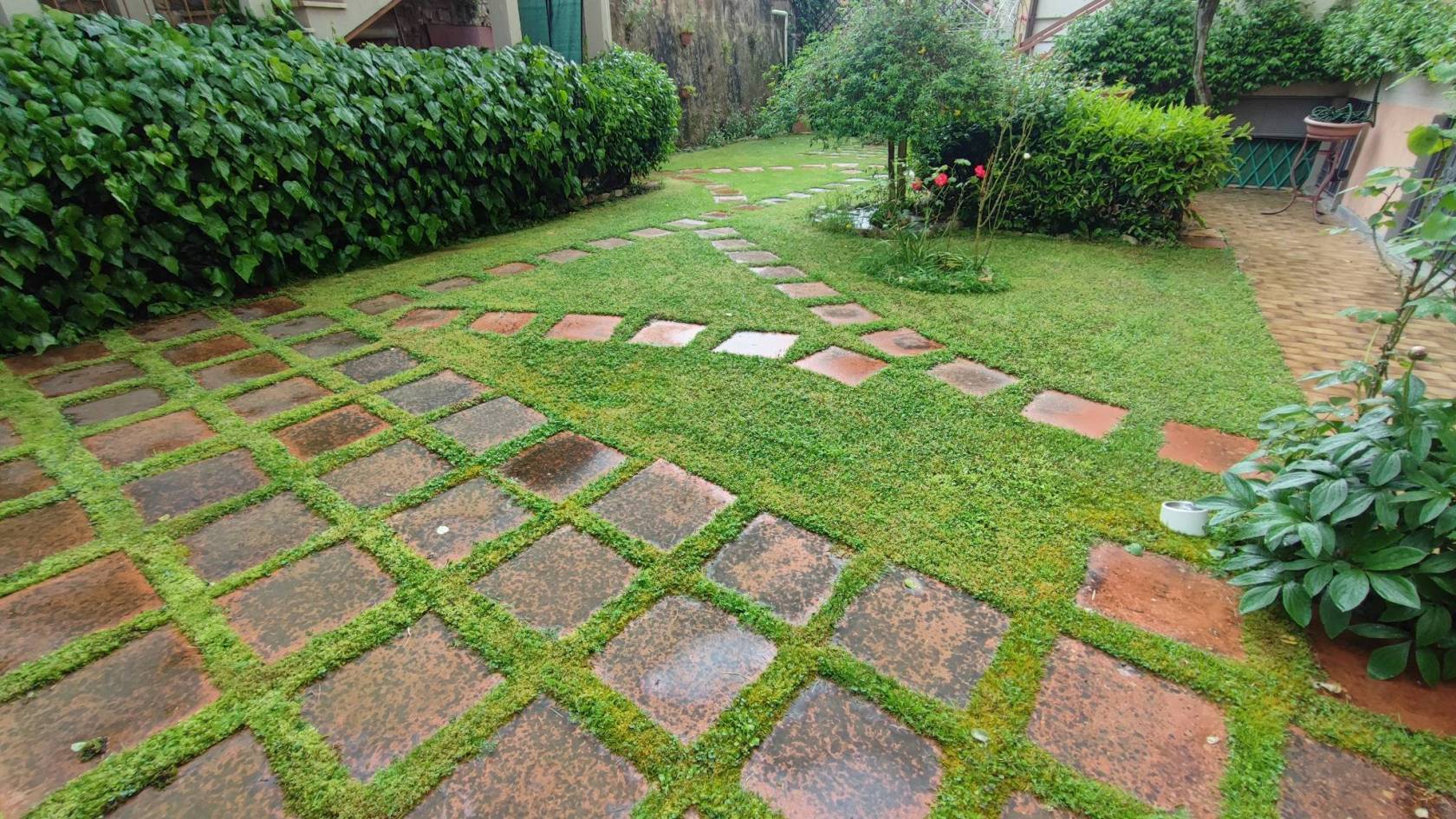 Giardino