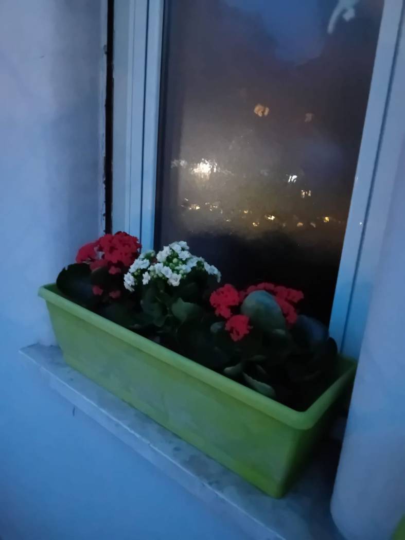 Balcone