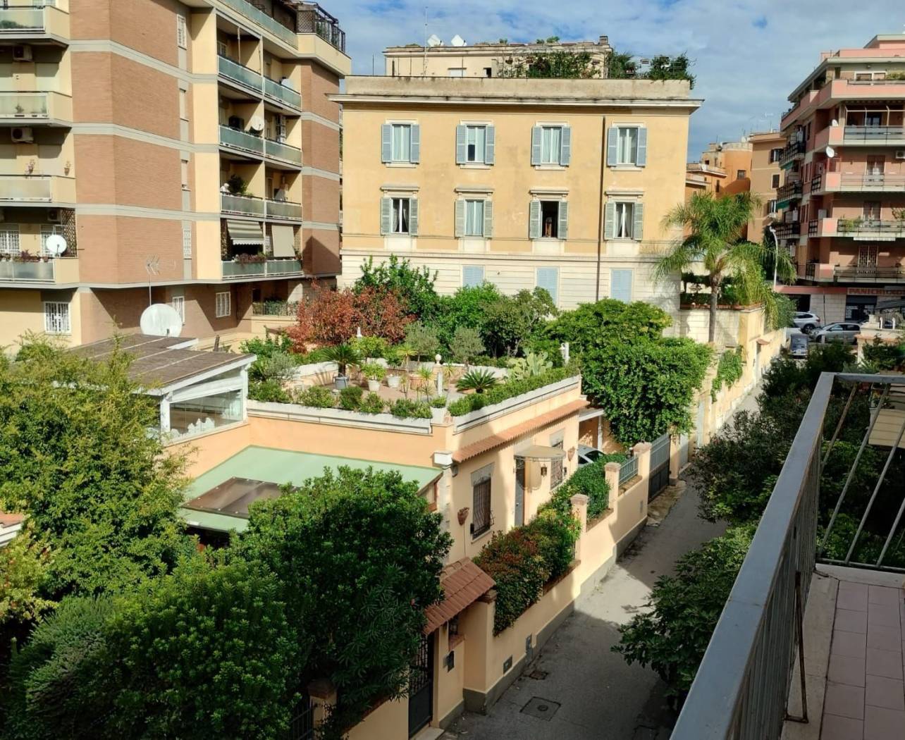 Vista