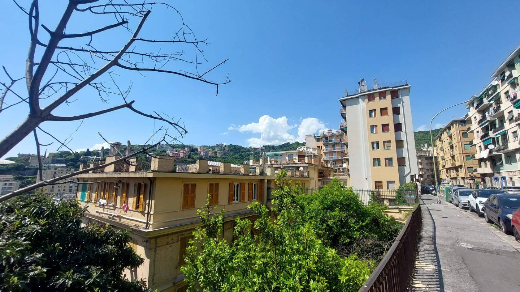 Vista