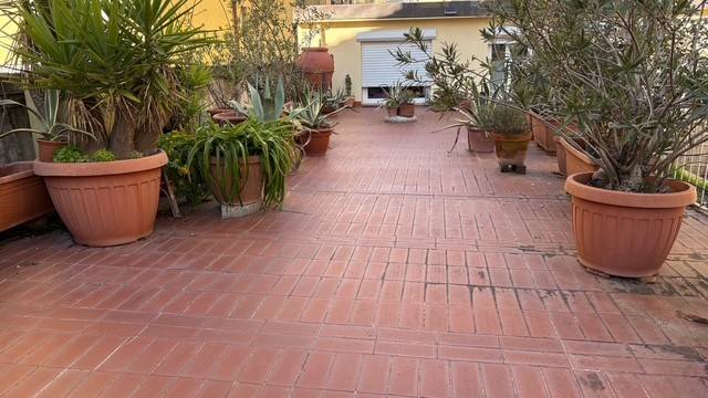 Terrazzo