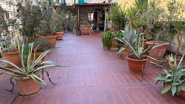Terrazzo