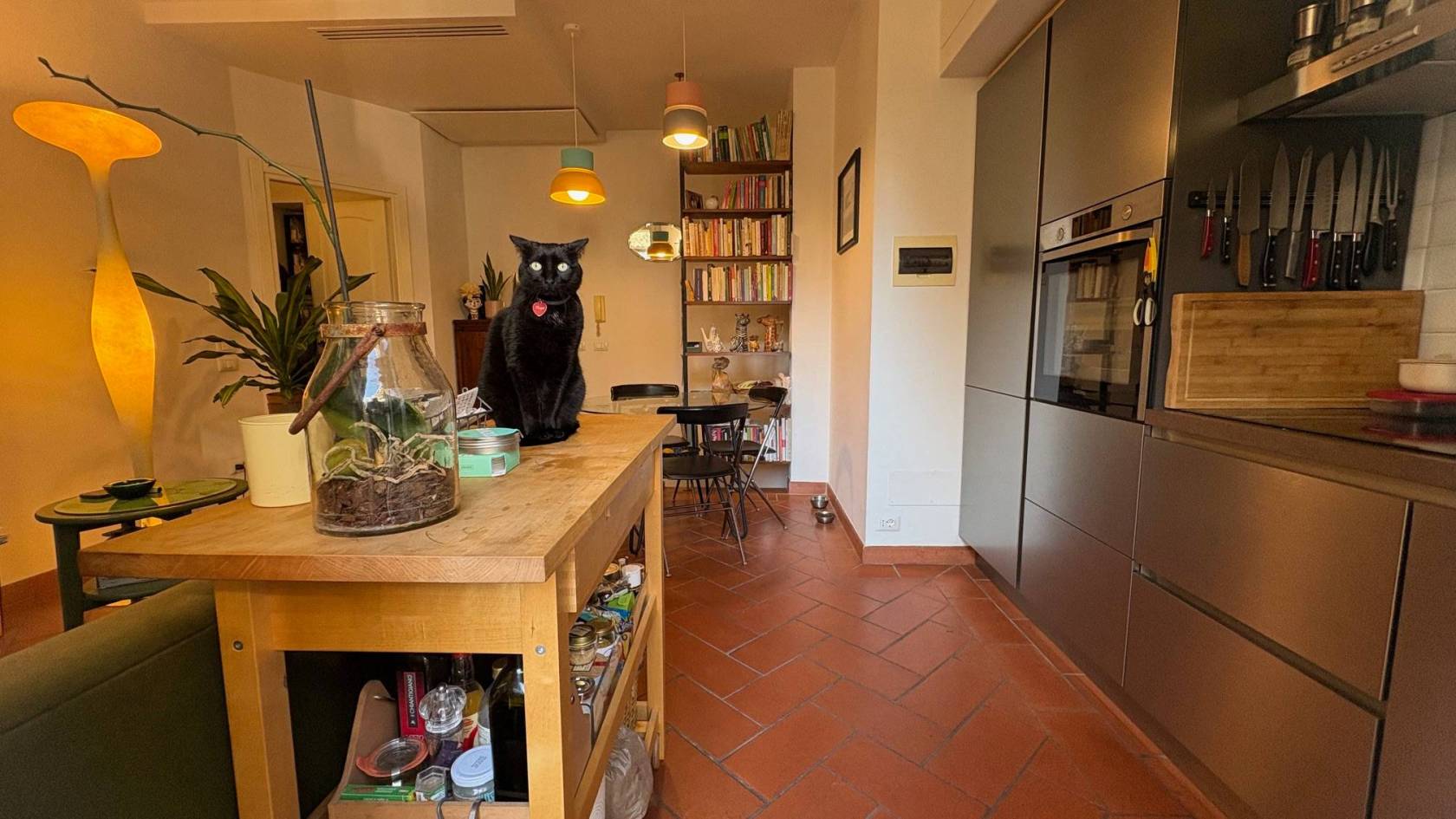Cucina