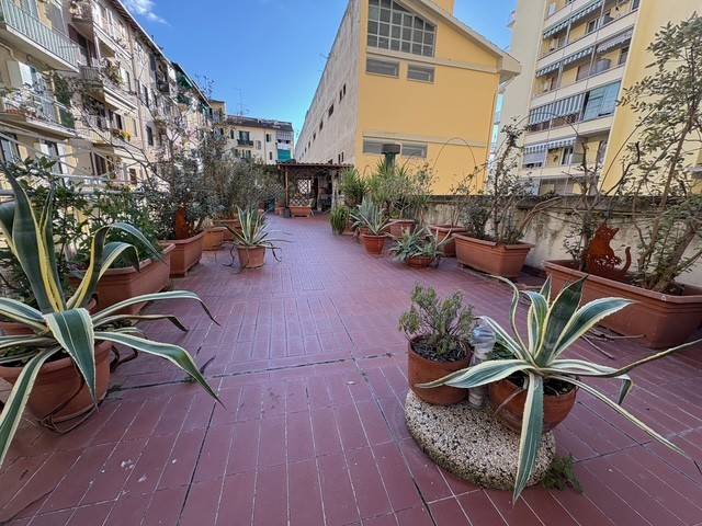 Terrazzo