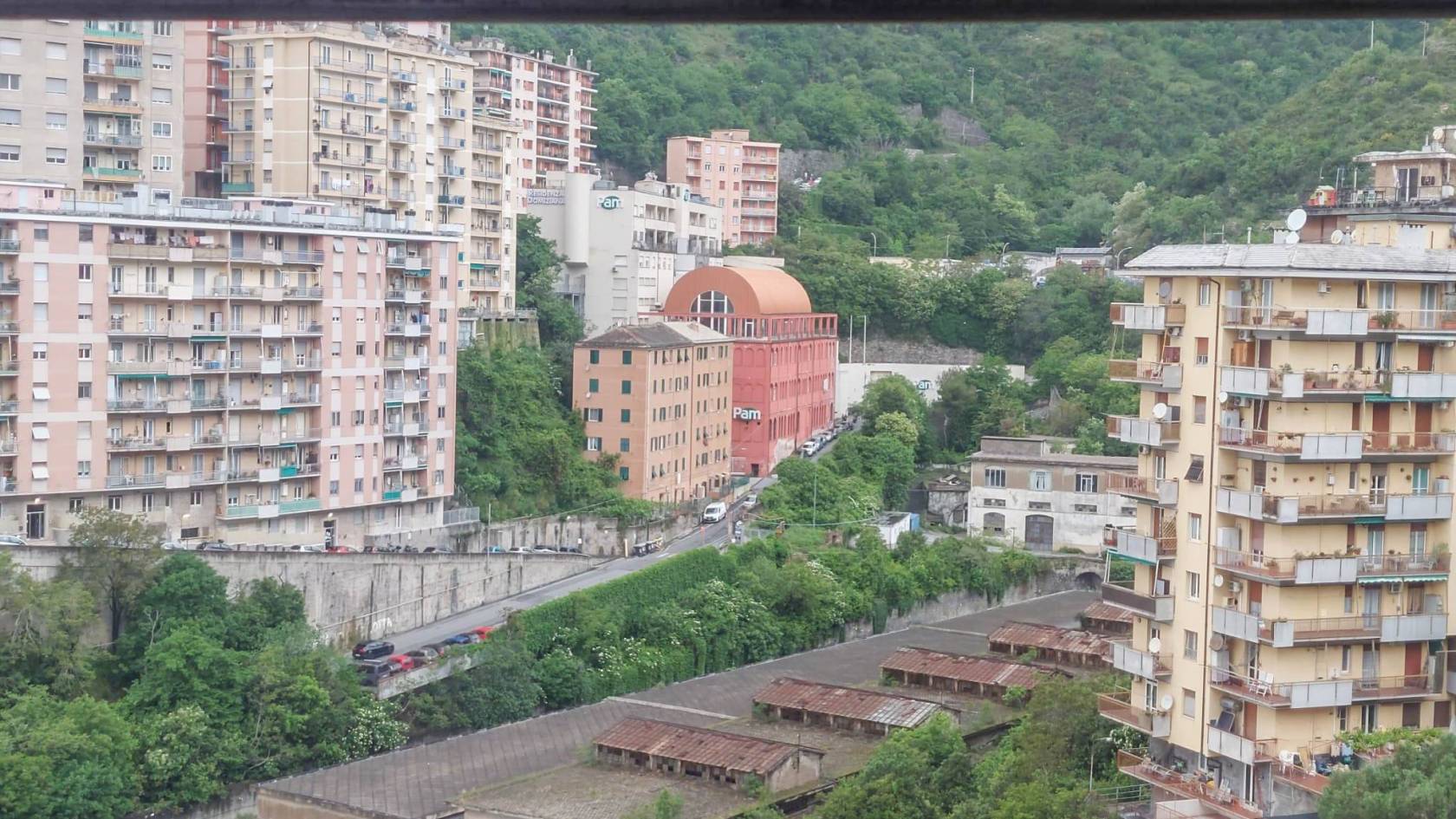 Vista