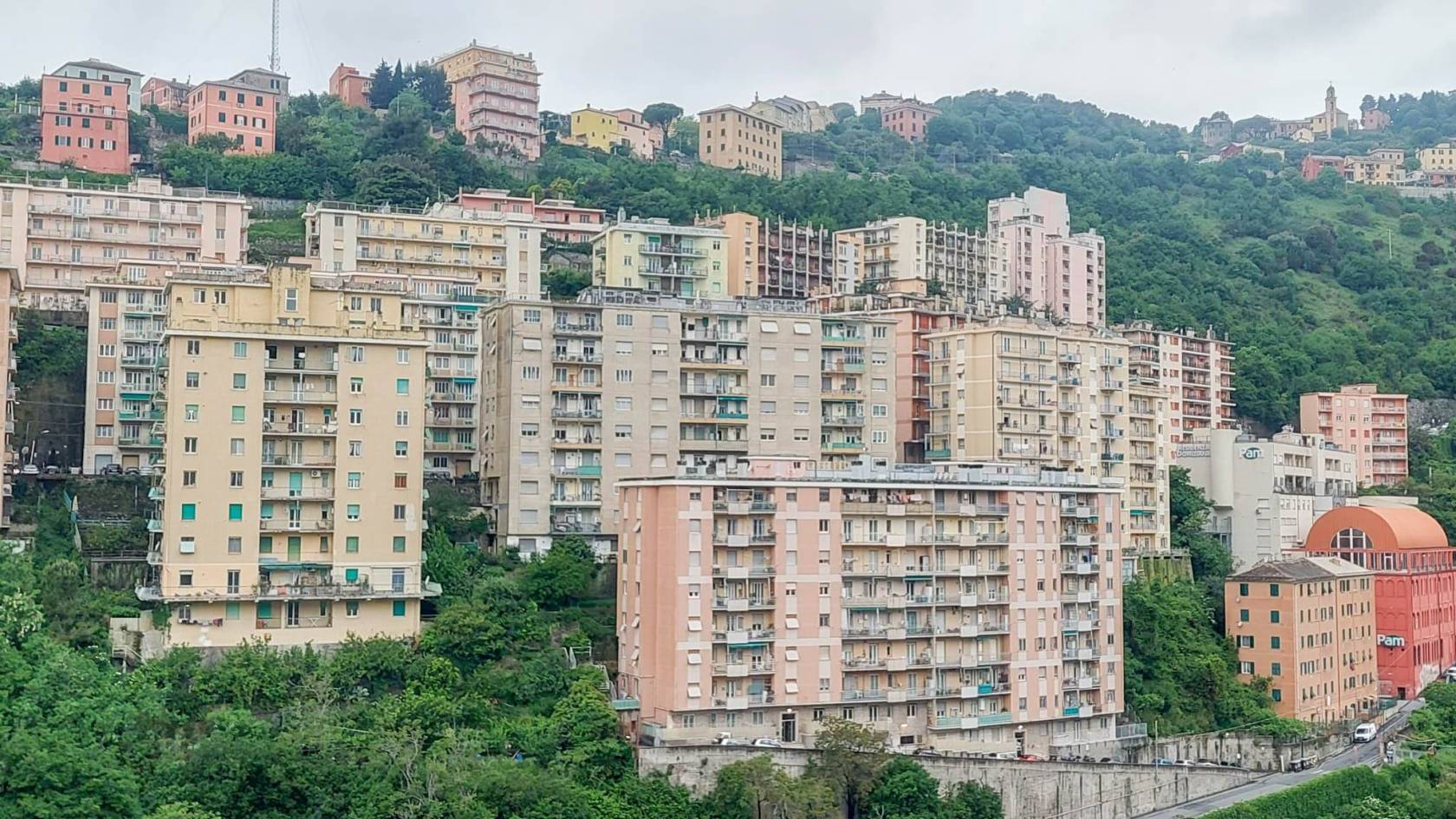 Vista