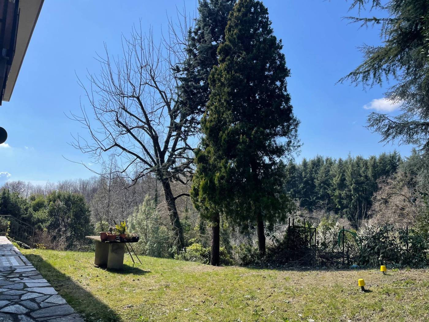 Giardino