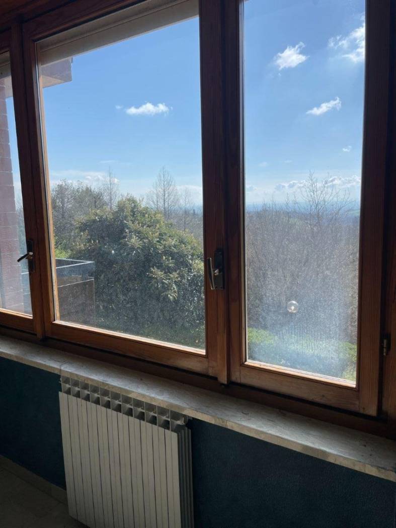 Vista