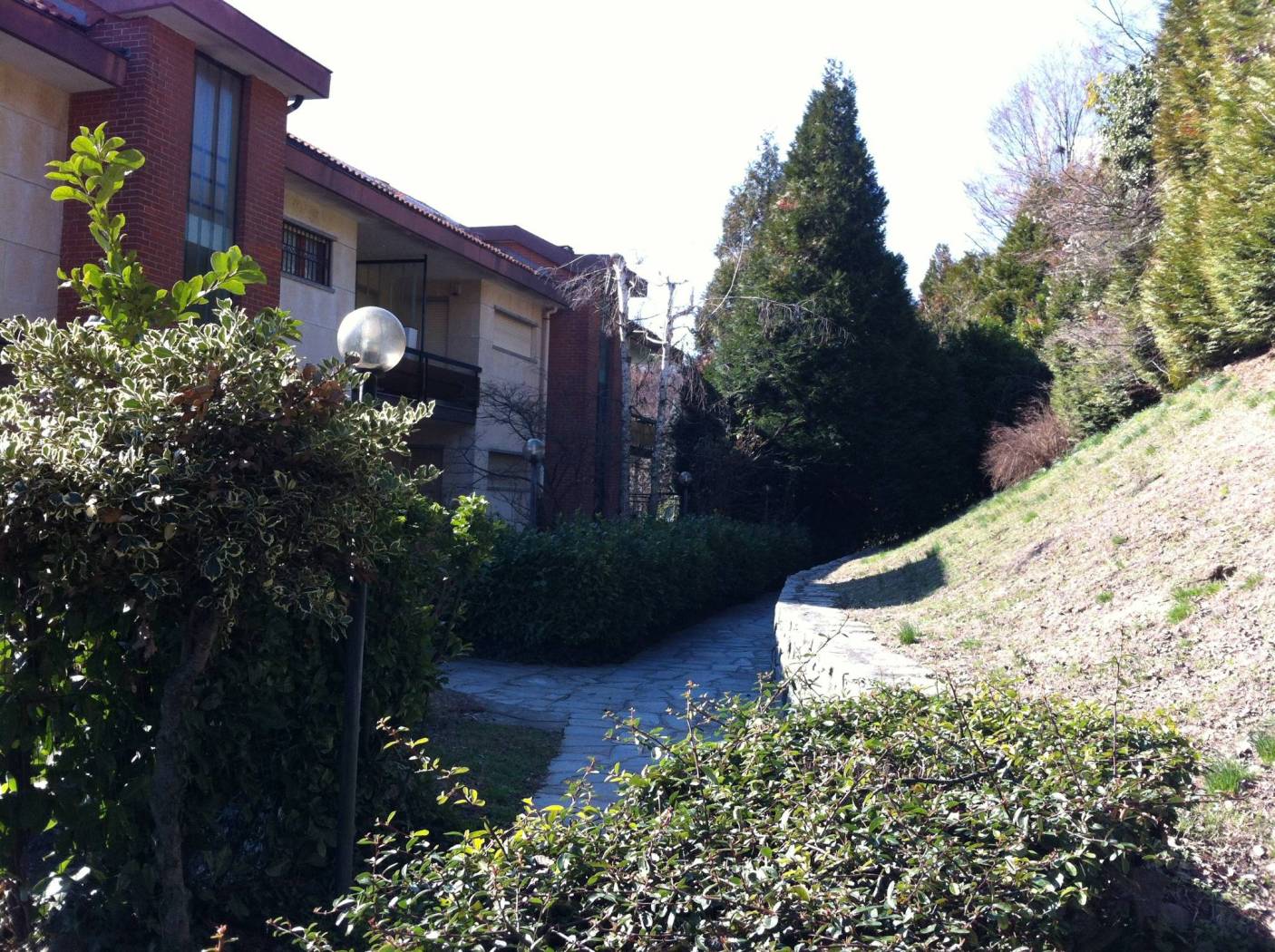 Terreno