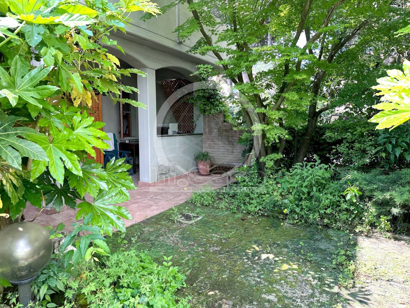 Giardino