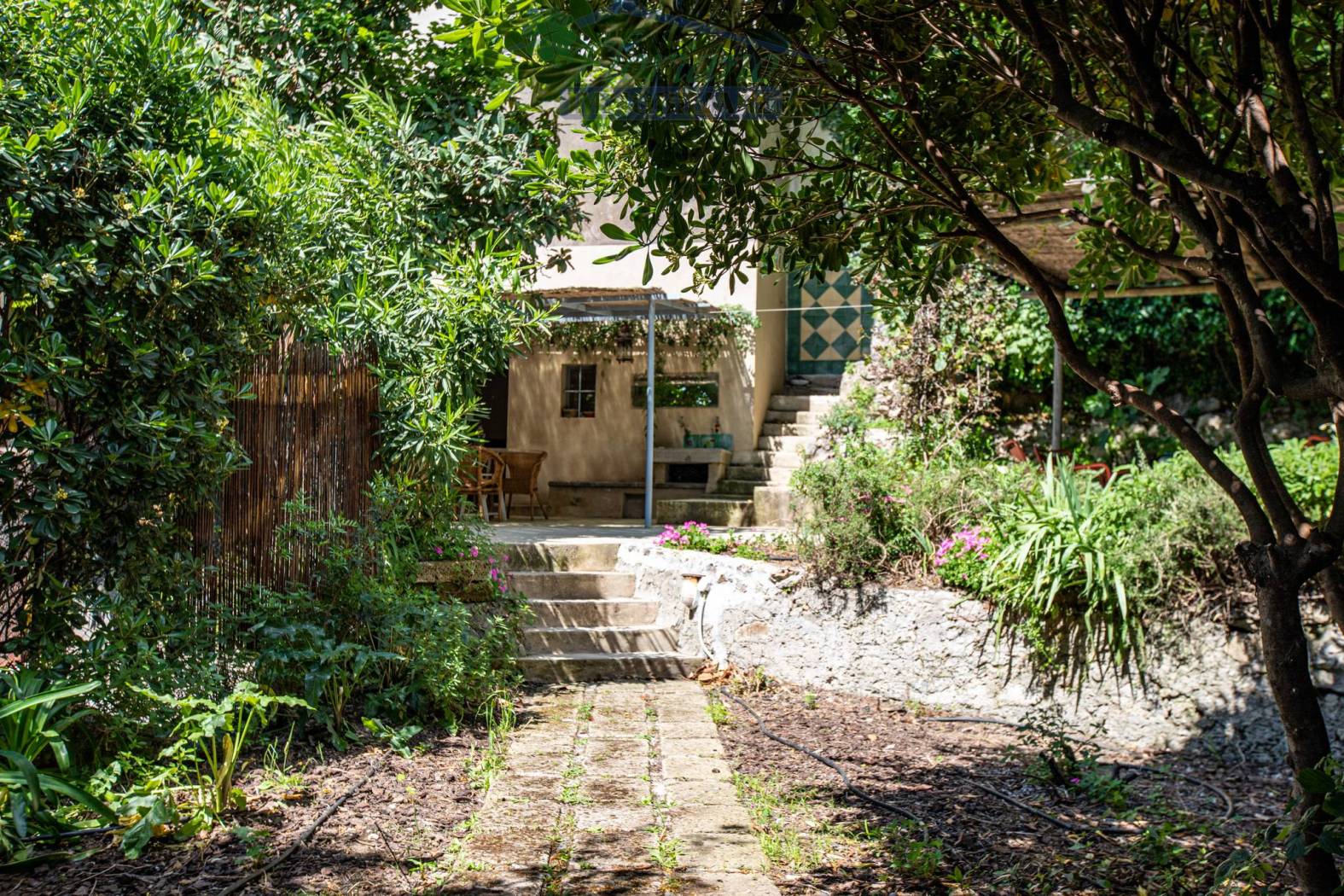 Giardino