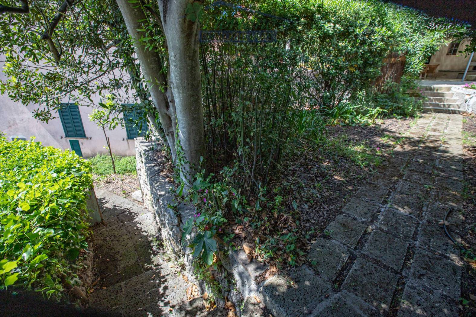 Giardino