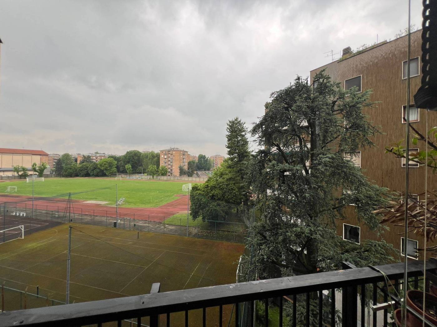 Vista