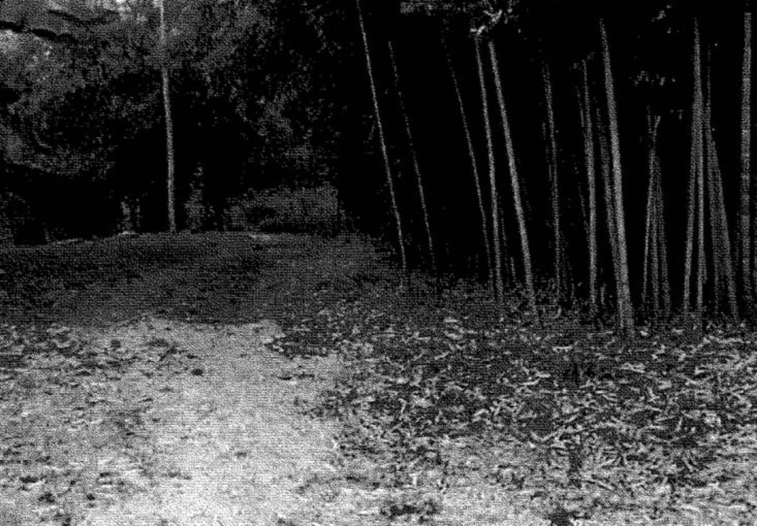 Terreno Terreno