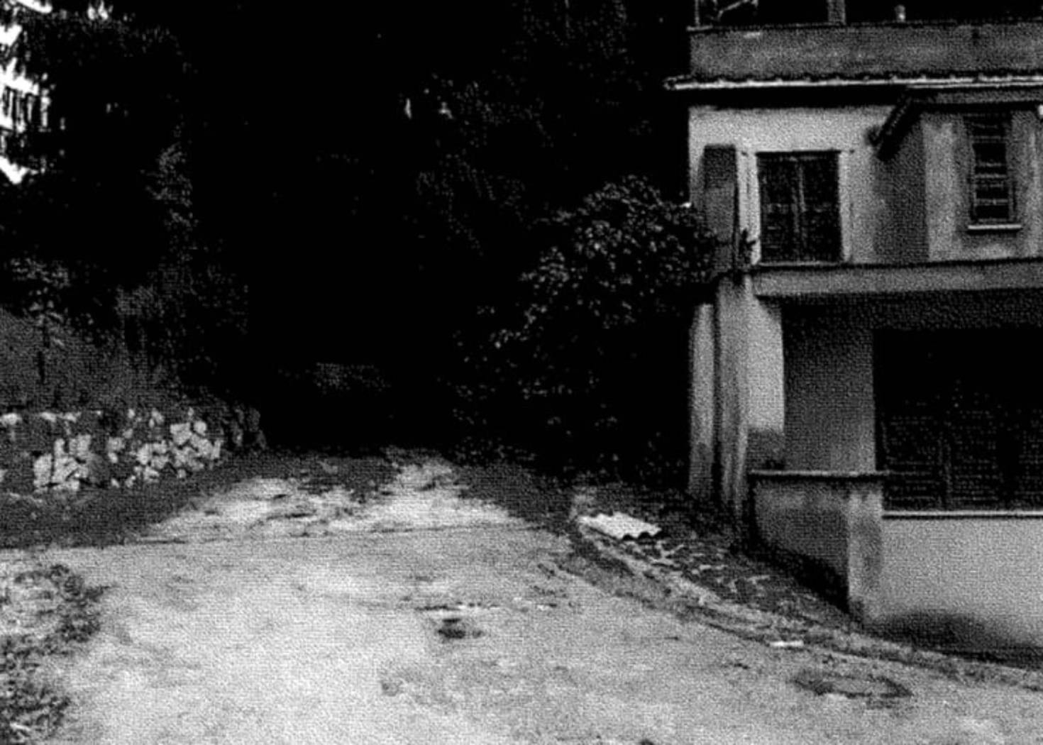 Terreno Terreno