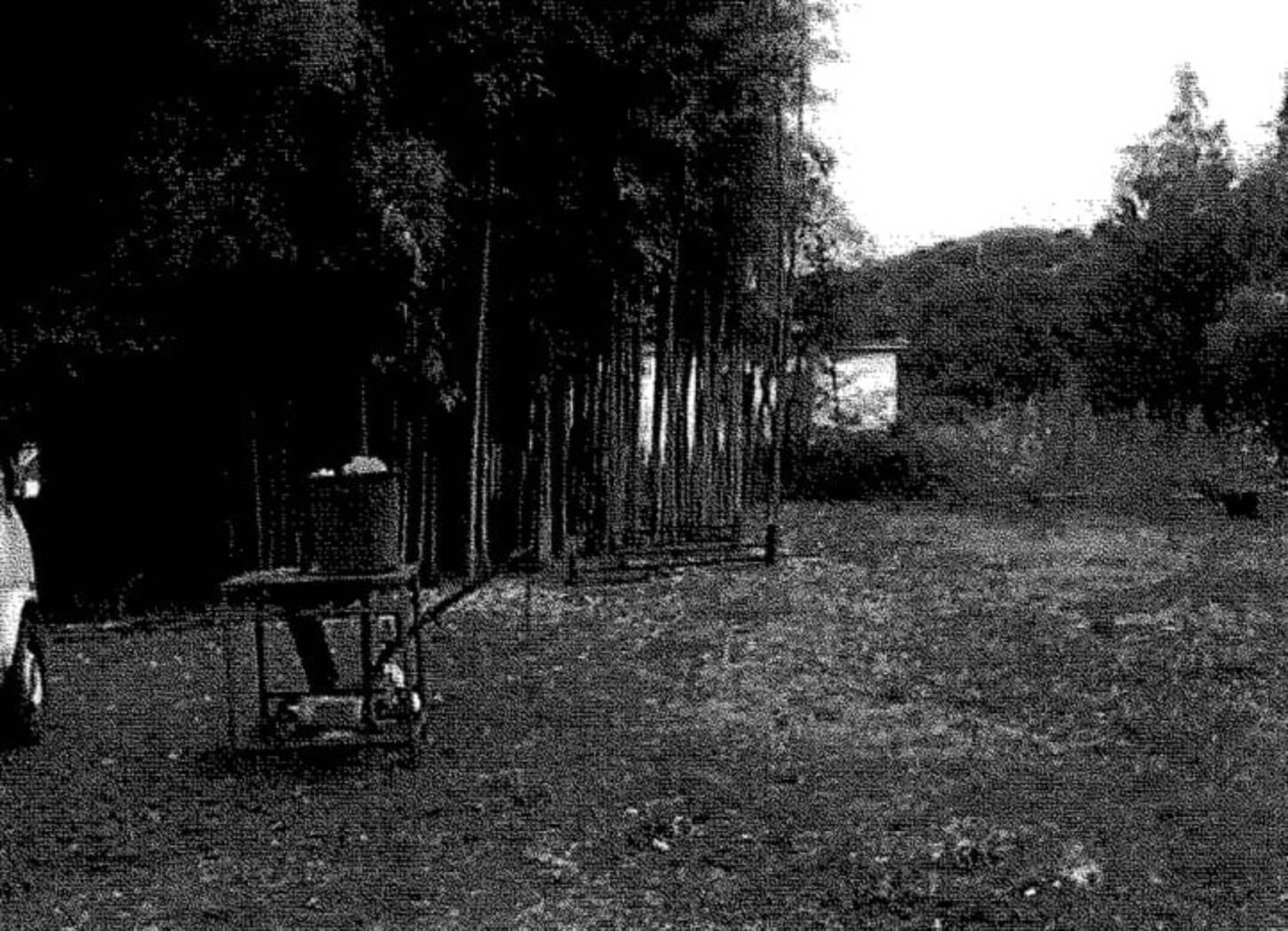 Terreno Terreno