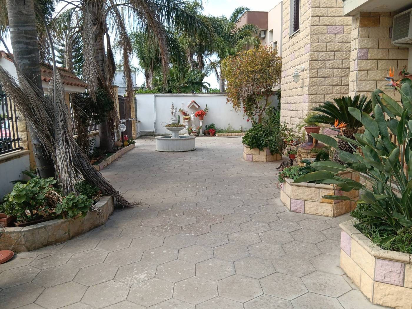 Giardino