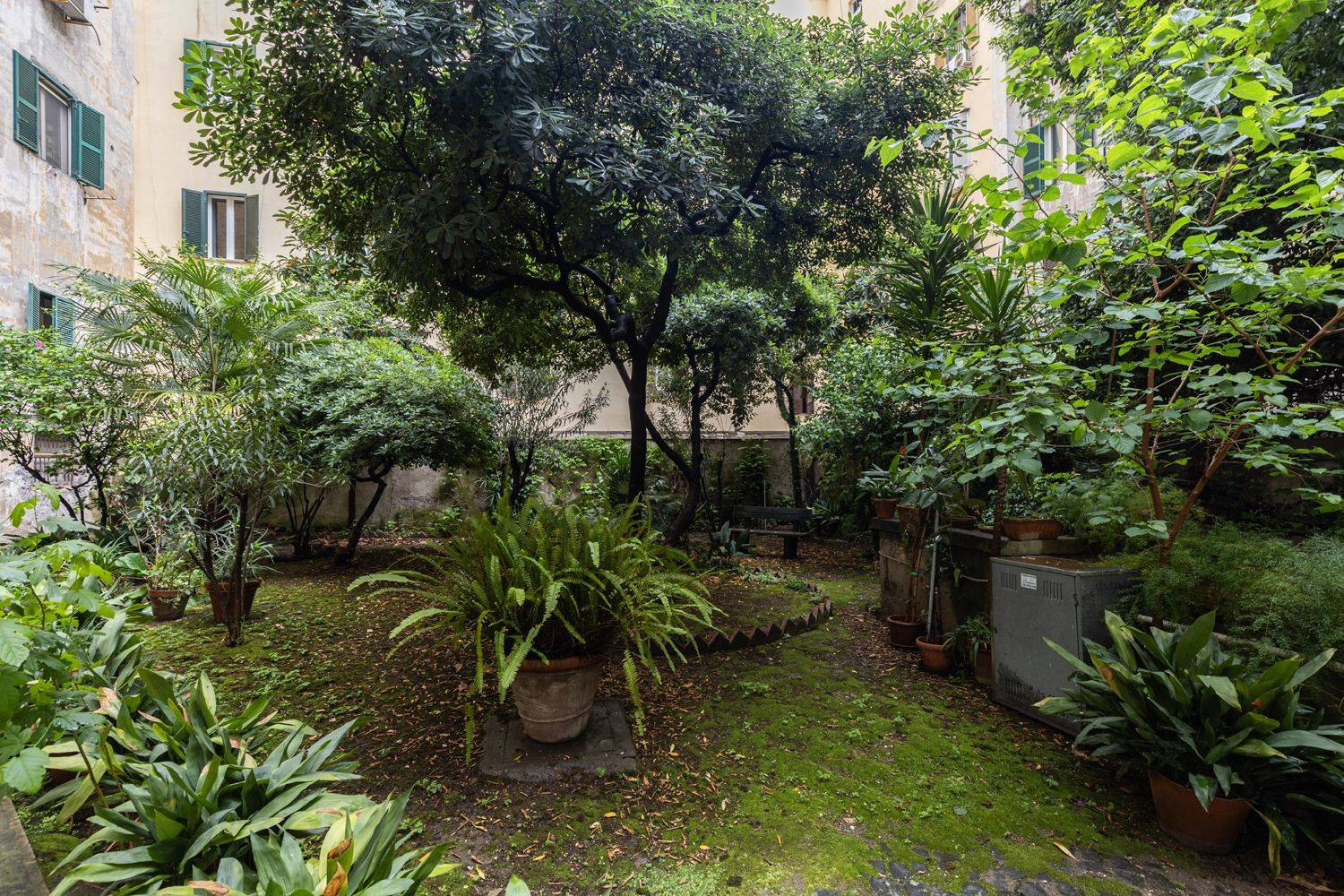 Giardino
