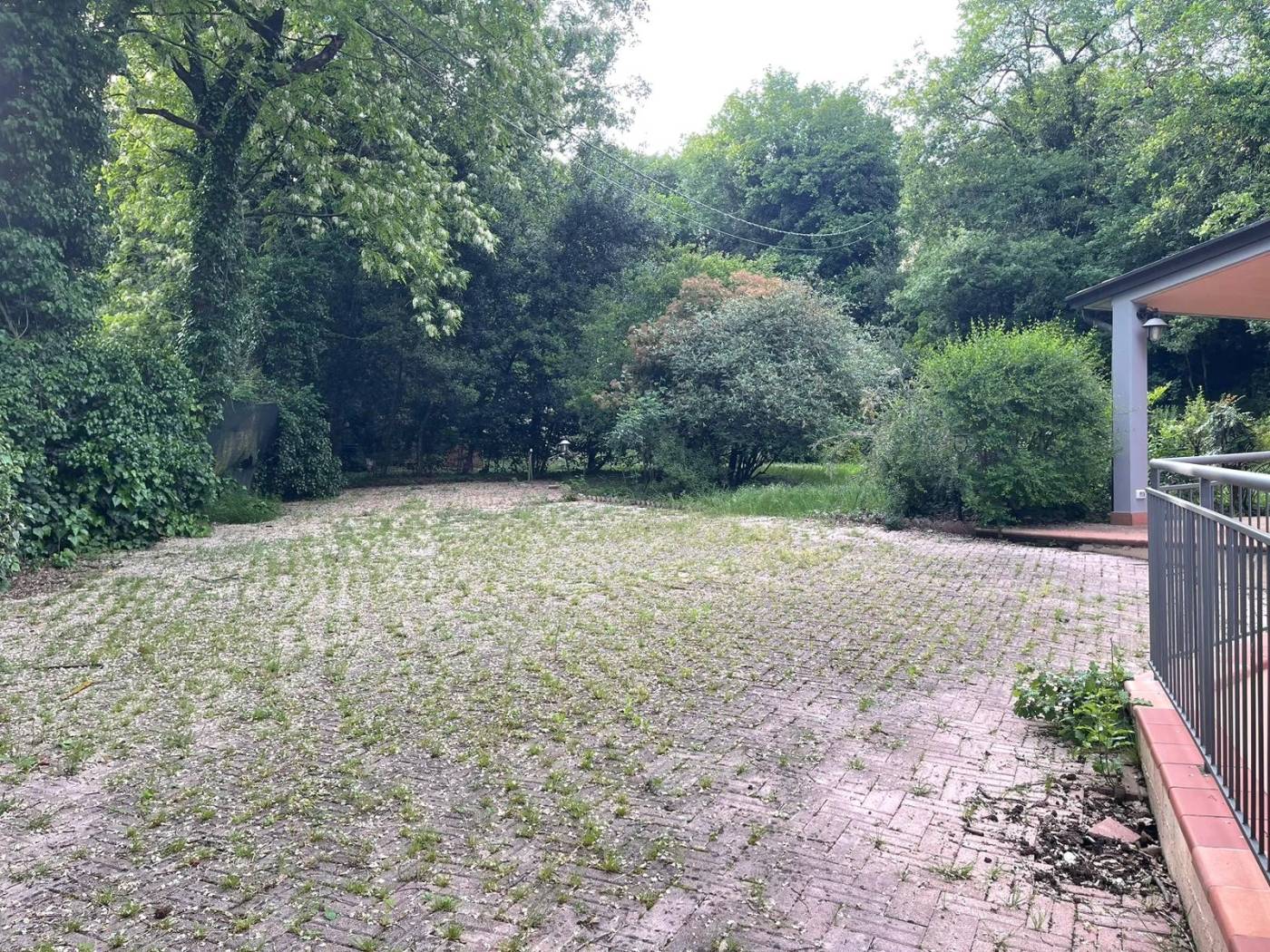 Giardino